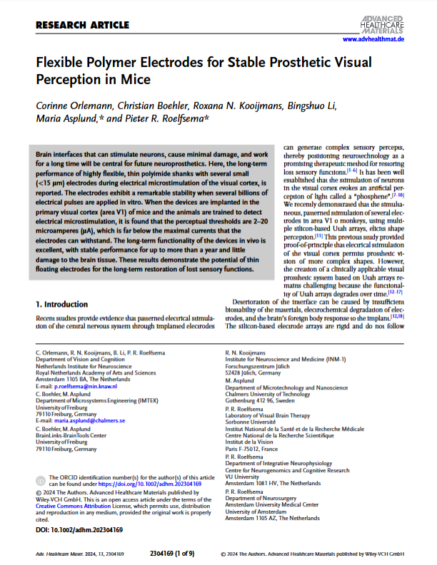 Flexible Polymer Electrodes for Stable Prosthetic Visual Perception in Mice