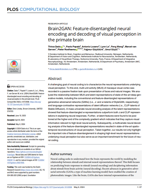 Brain2GAN: Feature-disentangled neural encoding and decoding of visual perception in the primate brain
